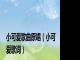 小可爱歌曲原唱（小可爱歌词）