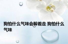 狗怕什么气味会躲着走 狗怕什么气味 