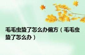 毛毛虫蛰了怎么办偏方（毛毛虫蛰了怎么办）
