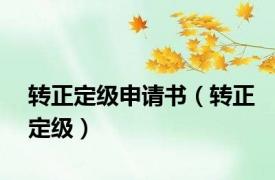 转正定级申请书（转正定级）