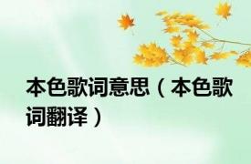 本色歌词意思（本色歌词翻译）