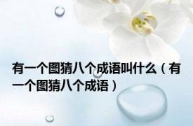 有一个图猜八个成语叫什么（有一个图猜八个成语）
