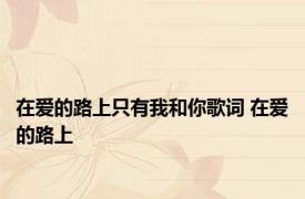 在爱的路上只有我和你歌词 在爱的路上 