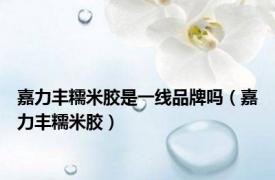 嘉力丰糯米胶是一线品牌吗（嘉力丰糯米胶）