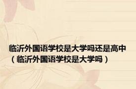 临沂外国语学校是大学吗还是高中（临沂外国语学校是大学吗）