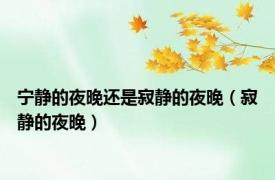 宁静的夜晚还是寂静的夜晚（寂静的夜晚）