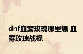 dnf血雾玫瑰哪里爆 血雾玫瑰战棍 