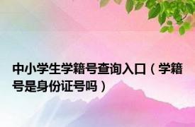 中小学生学籍号查询入口（学籍号是身份证号吗）
