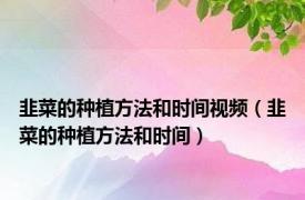 韭菜的种植方法和时间视频（韭菜的种植方法和时间）