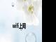wifi上网
