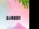 金山毒霸猎豹