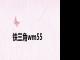 铁三角wm55